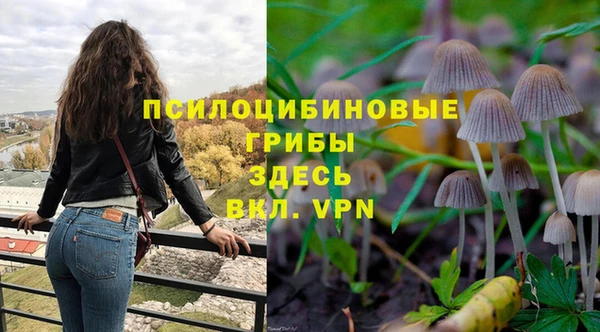 ешки Арсеньев
