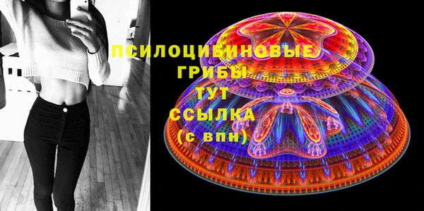 ешки Арсеньев