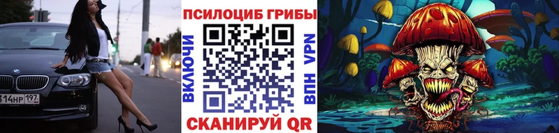 Галлюциногенные грибы Psilocybe  Купить  Талдом 