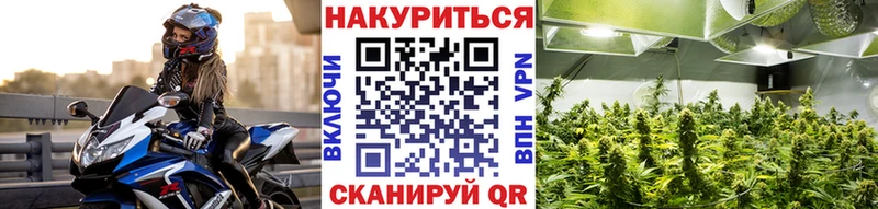 Купить закладки  Талдом  Каннабис планчик 